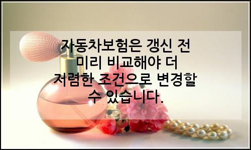 오늘의 이미지