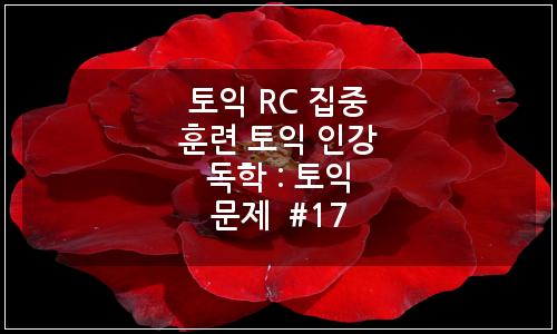오늘의 이미지