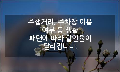오늘의 이미지