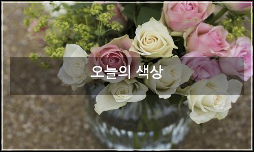 오늘의 이미지