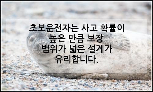 오늘의 이미지