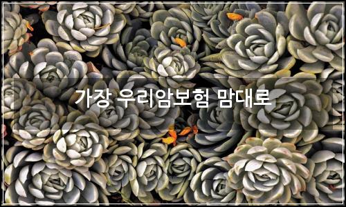 오늘의 이미지