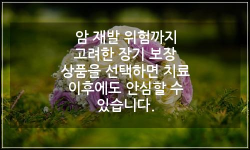 오늘의 이미지