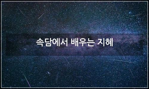 오늘의 이미지
