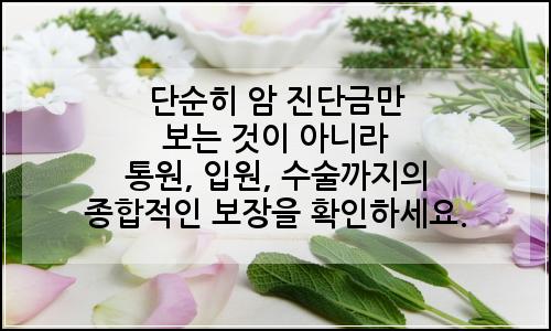 오늘의 이미지