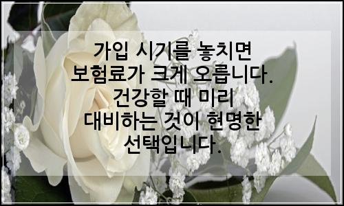오늘의 이미지