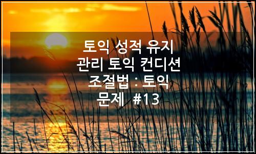 오늘의 이미지