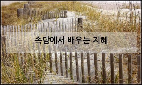 오늘의 이미지