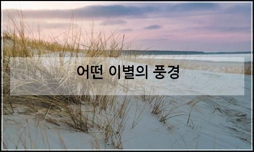 오늘의 이미지