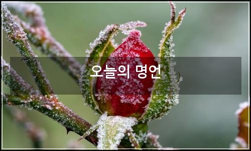 오늘의 이미지