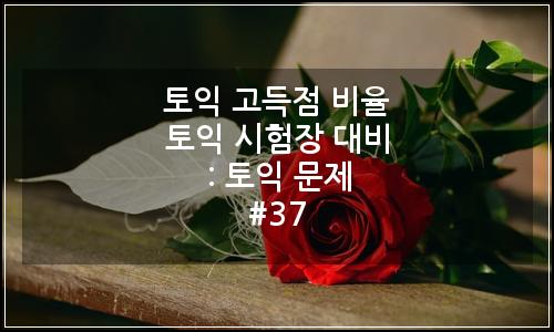 오늘의 이미지
