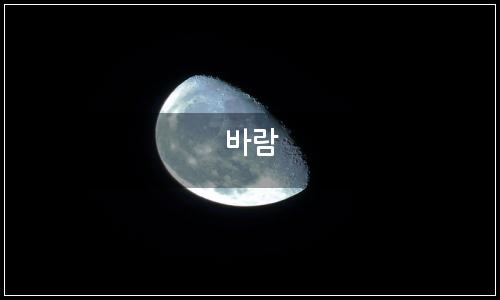 오늘의 이미지
