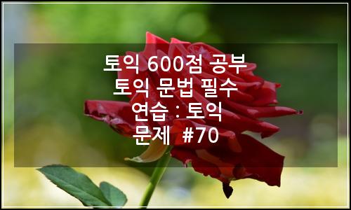 오늘의 이미지