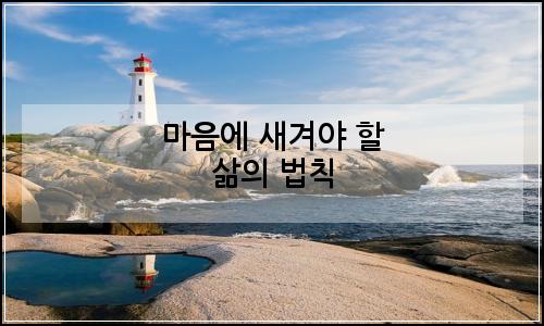 오늘의 이미지