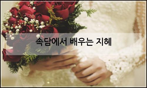 오늘의 이미지