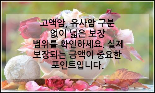 오늘의 이미지