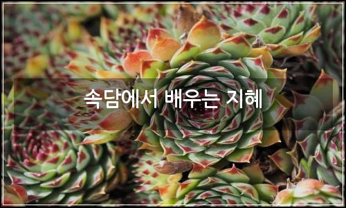 오늘의 이미지