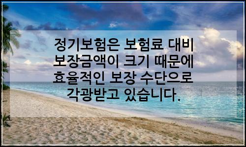오늘의 이미지