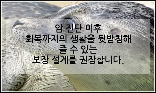 오늘의 이미지