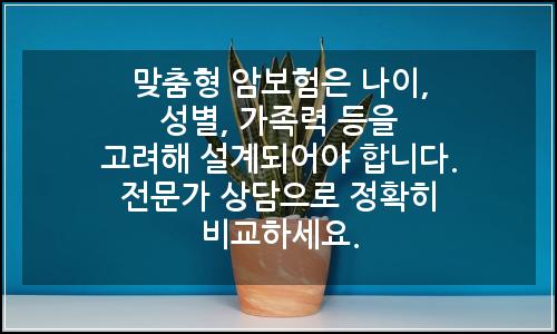 오늘의 이미지