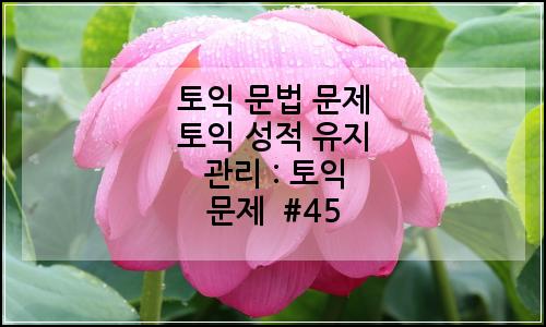 오늘의 이미지