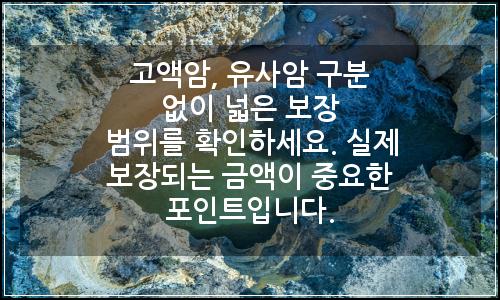 오늘의 이미지