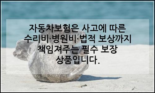 오늘의 이미지