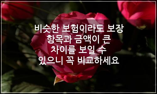 오늘의 이미지