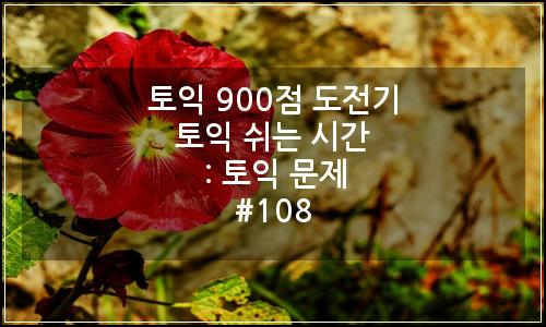 오늘의 이미지