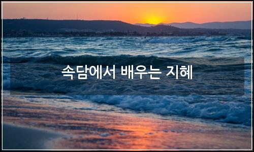 오늘의 이미지