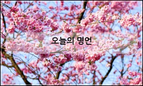 오늘의 이미지