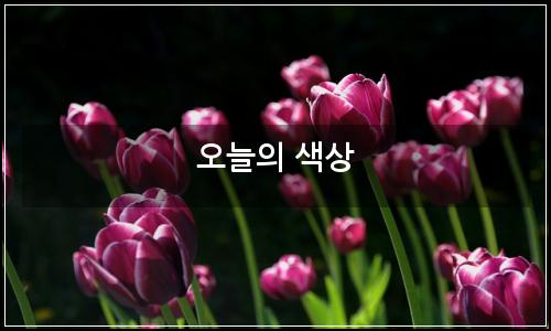 오늘의 이미지