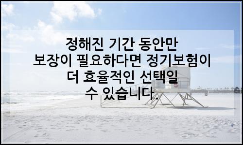 오늘의 이미지