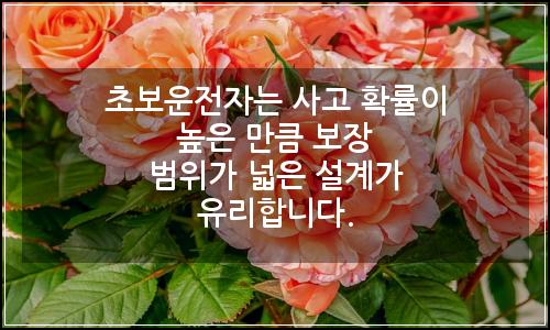 오늘의 이미지