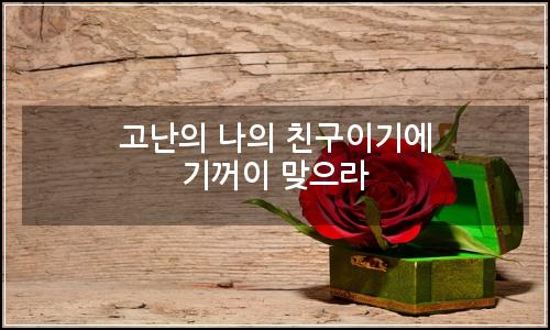 오늘의 이미지