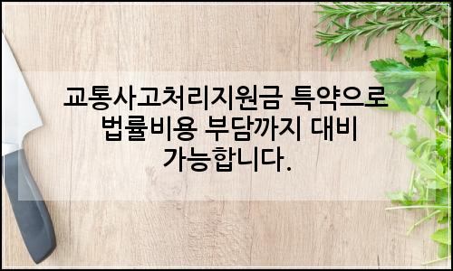 오늘의 이미지