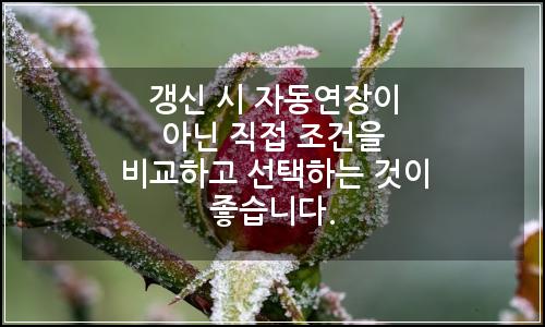 오늘의 이미지