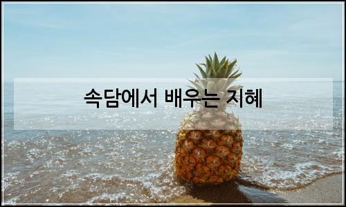 오늘의 이미지
