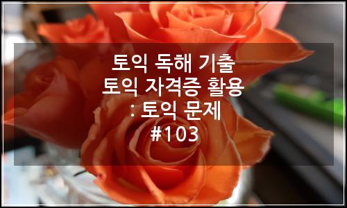 오늘의 이미지