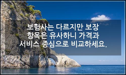 오늘의 이미지