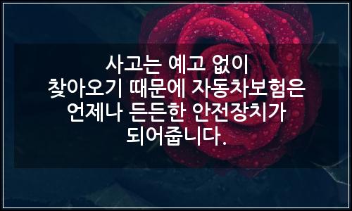 오늘의 이미지