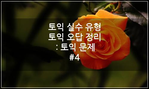 오늘의 이미지