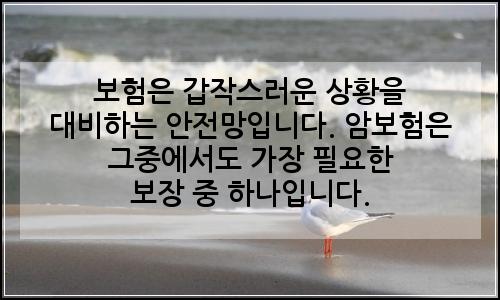 오늘의 이미지