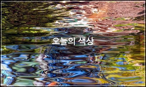 오늘의 이미지