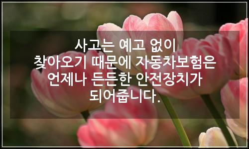 오늘의 이미지