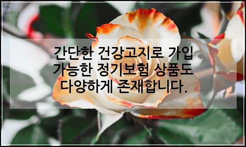 오늘의 이미지