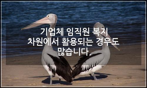 오늘의 이미지