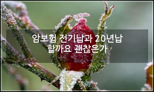 오늘의 이미지