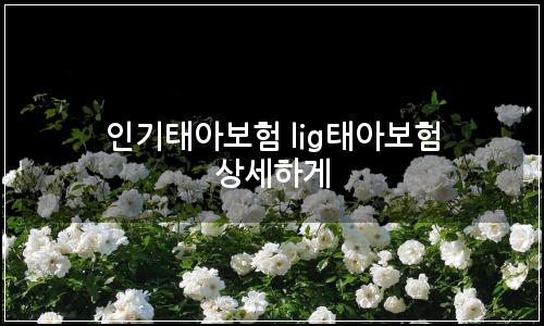 오늘의 이미지