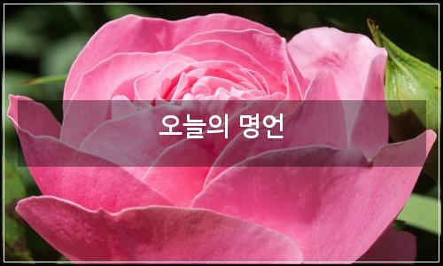 오늘의 이미지